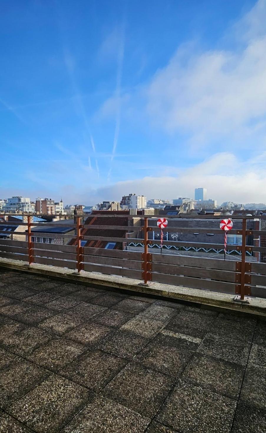 Studio Penthouse Lumineux Avec Grande Terrasse De 40M2 Брюксел Екстериор снимка